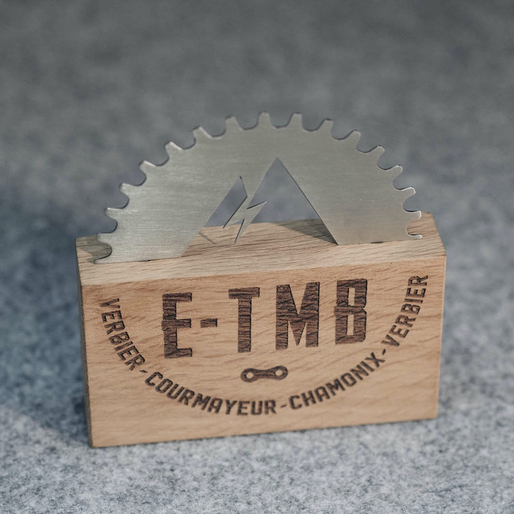 Trophée bois acier